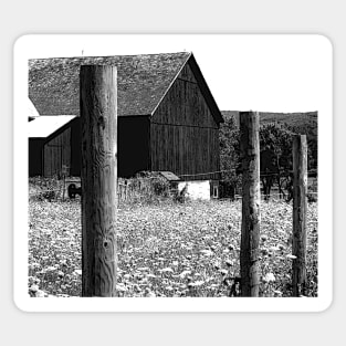 All the Queens Barn /Features Field of Queen Ann Lace/Fence Sticker